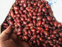 Kuşburnu (500 gr) Kuşburnu (500 gr)