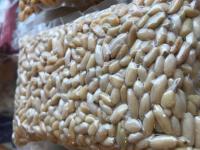 helvalık,dolmalık fıstık (500 gr ) helvalık,dolmalık fıstık (500 gr )