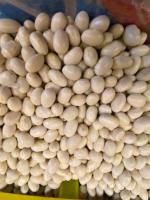 İSPİR FASULYESİ 500 GR