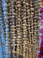 ÇİÇEK BAMYA KURUSU 1 DİZİ