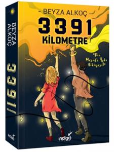 3391 Kilometre
