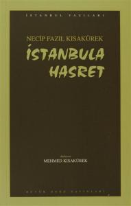 İstanbula Hasret