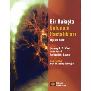Bir Bakışta Solunum Sistemi Bir Bakışta Solunum Sistemi