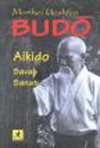  Budo Aikido Savaş Sanatı 
