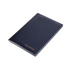 GÜLPAŞ KARAR DEFTERİ 100YP