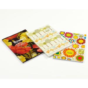 METEKSAN OKUL DEFTERİ A-4 80\4