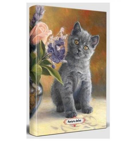 Masum Kedi - Planlama Defteri Masum Kedi - Planlama Defteri