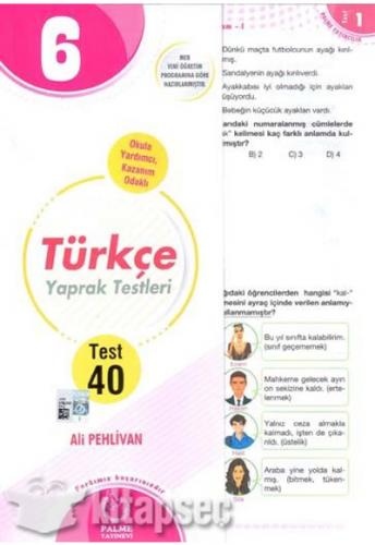 PALME 6.SINIF TÜRKÇE Y.T