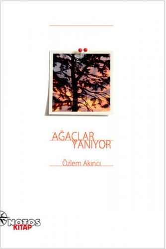 cukurovakitap.com.tr