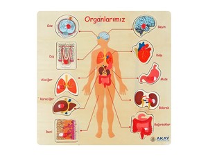 cukurovakitap.com.tr