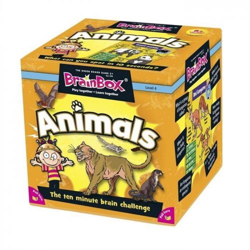 Anne Brainbox Hayvanlar