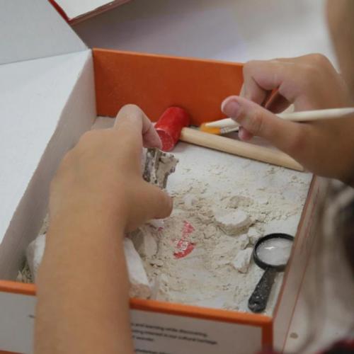 Arkerobox Orhun Yazıtları Arkeolojik Kazı Seti