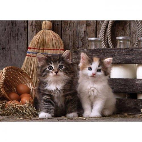 Art Puzzle 500 Parça Eyvah Yakalandık