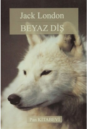 Beyaz Dis