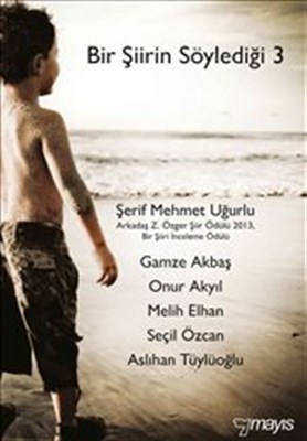 Bir Siirin Söyledigi 3