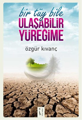 cukurovakitap.com.tr