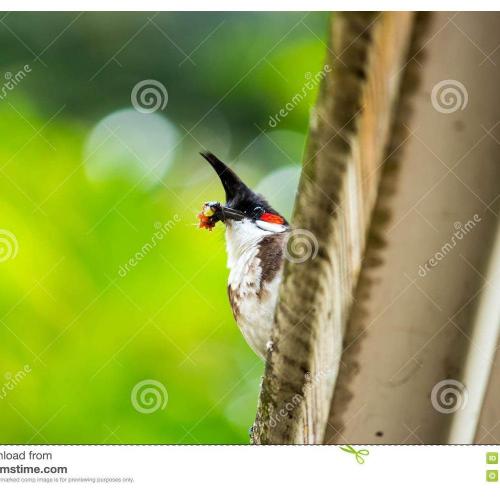 cukurovakitap.com.tr