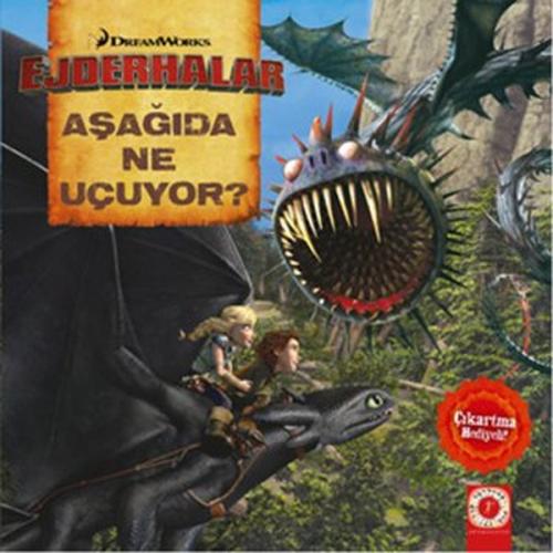 Dreamworks Ejderhalar - Aşağıda Ne Uçuyor?