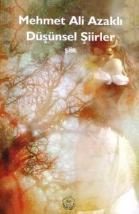 Düsünsel Siirler