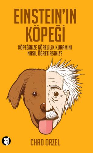 cukurovakitap.com.tr