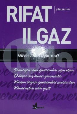 Güvercinim Uyur mu ?