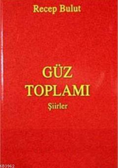cukurovakitap.com.tr