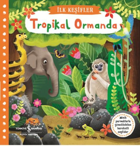 Hareketli Tropikal Ormanda - İlk Keşifler