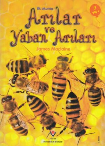 İlk Okuma Arılar ve Yaban Arıları