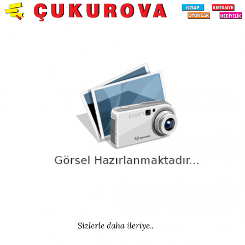 MEY DEKORATİF KAKTÜS ÇİÇEK GP-2742