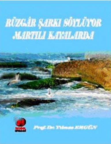 Rüzgar Sarki Söylüyor Martili Kayalarda