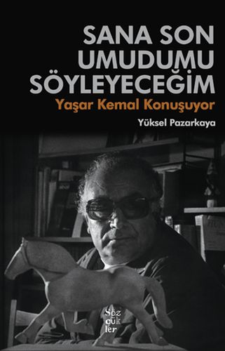 Sana Son Umudumu Söyleyemeceğim