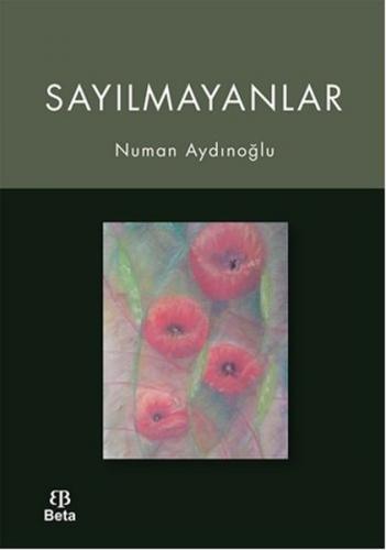 Sayılmayanlar