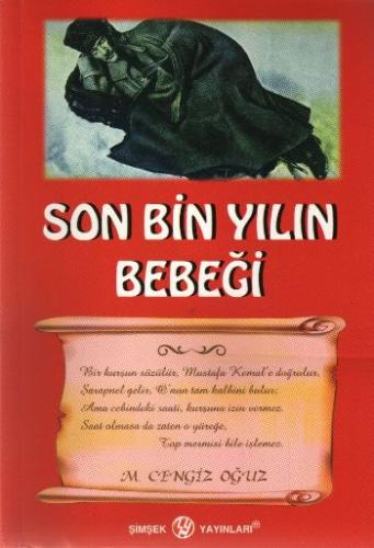 Son Bin Yilin Bebegi / Çitir Pitir Serisi