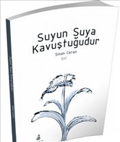 cukurovakitap.com.tr