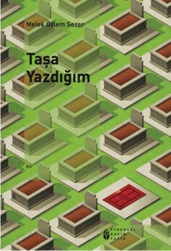 Taşa Yazdığım