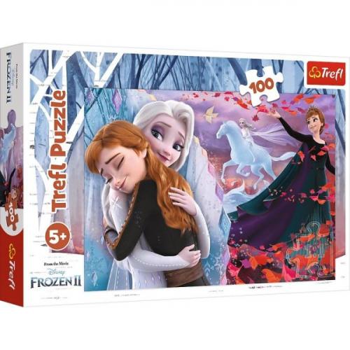 Together Forever Disney Frozen II 16399 (100 Parça)