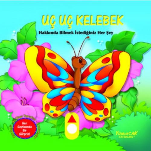 Uç Uç Kelebek - Hareketli Kitap