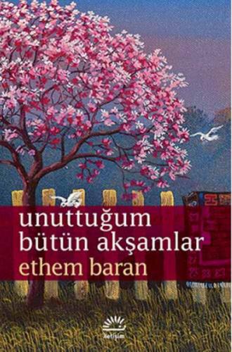 cukurovakitap.com.tr