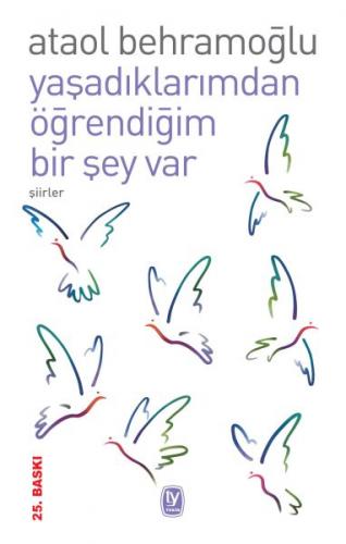 Yaşadıklarımdan Öğrendiğim Bir Şey Var