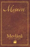 Mesnevi : Ciltli