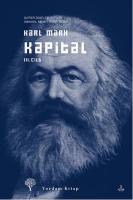 Kapital 3