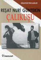 Çalıkuşu : Gençler İçin