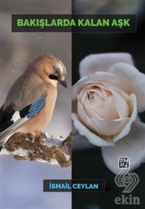 Bakışlarda Kalan Aşk
