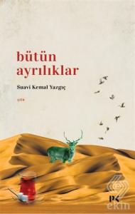 Bütün Ayrılıklar