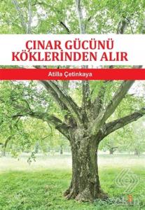 Çınar Gücünü Köklerinden Alır