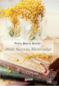 Hala Sarıysa Mimozalar