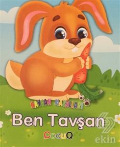 Hayvan Masalları (10 Kitap Takım)