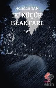 İki Küçük Islak Fare