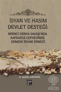 İsyan ve Hasım Devlet Desteği: Birinci Dünya Savaş