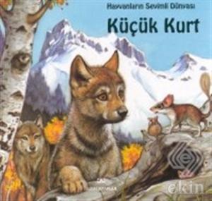 Küçük Kurt